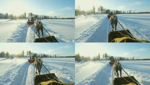 驯鹿雪橇之旅高清在线视频素材下载