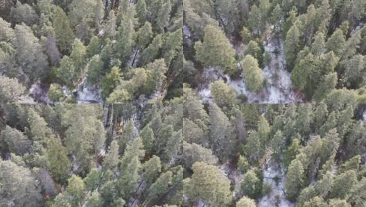 冬季俯瞰普达索国家森林公园的鸟瞰图。阳光穿过树木，在地面上形成迷人的光和影高清在线视频素材下载