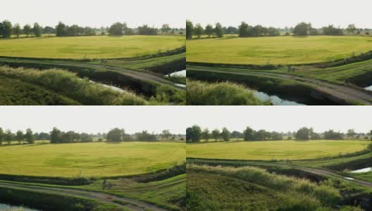 无人机拍摄的稻田高清在线视频素材下载