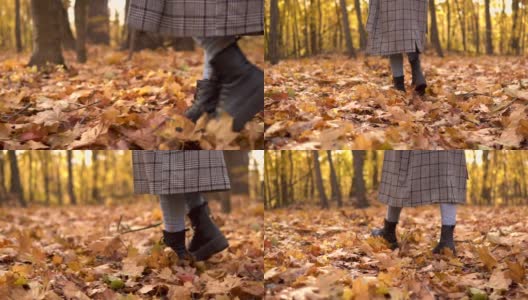 在秋天的森林里，一个女人沿着黄色的落叶走着。腿关闭。慢动作高清在线视频素材下载