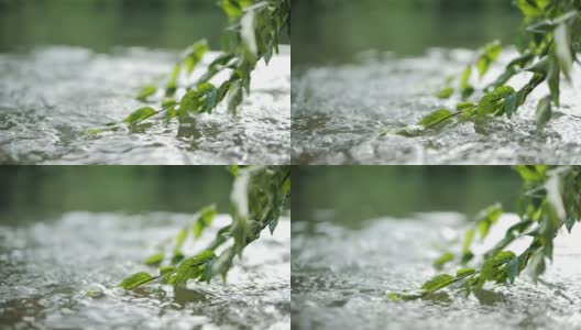 特写流水穿过大自然的绿叶高清在线视频素材下载