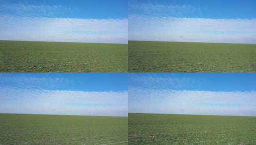 在春光明媚的日子里，飞过春绿的麦田，雪残绿芽高清在线视频素材下载