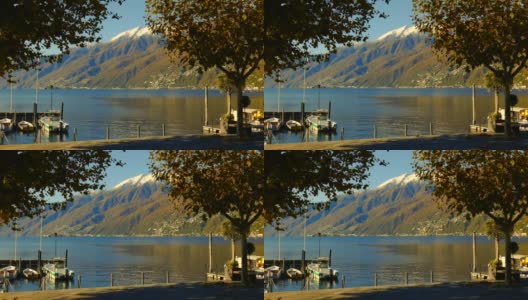 高山湖马焦雷雪山在阳光明媚的秋天与树在海滨在阿斯科纳高清在线视频素材下载