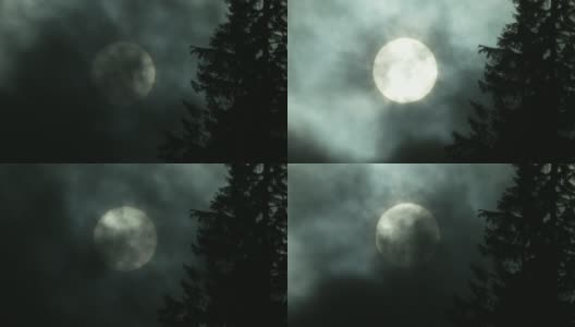 满月诡异的长镜头拍摄森林前景的剪影，苏格兰高清在线视频素材下载