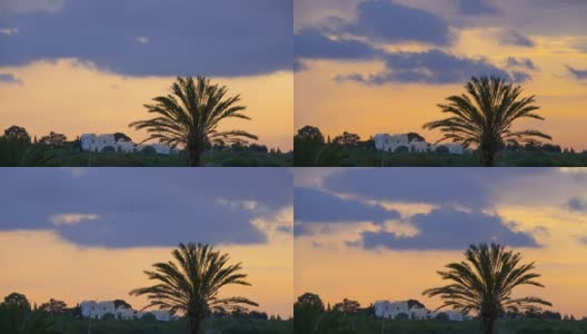 日落在白色的房子和棕榈树。夕阳下棕榈树的剪影。时间流逝。间隔拍摄。高清在线视频素材下载