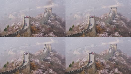 中国的长城与樱花在春天的季节高清在线视频素材下载