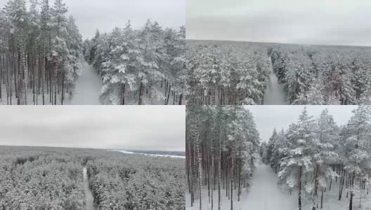 冬天的森林景观。从高处看，雪中的绿色森林。平稳地举起相机。从鸟瞰高清在线视频素材下载