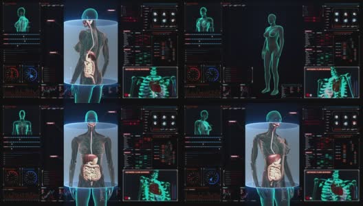 女性身体内部器官扫描，数字显示消化系统高清在线视频素材下载
