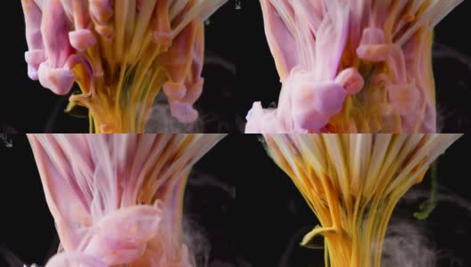 五彩的颜料墨流成一朵花高清在线视频素材下载
