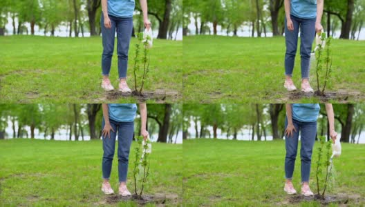 微笑的女志愿者在公园里浇水，看树，尊重自然高清在线视频素材下载