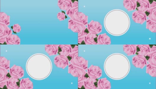 粉红色玫瑰花与圆形框架动画高清在线视频素材下载