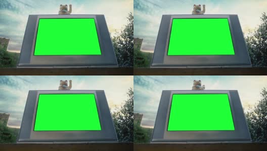 毛木猫和绿屏老电视。低角度的观点。高清在线视频素材下载