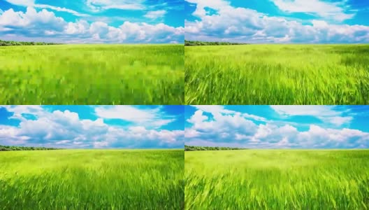 绿色的田野和多云的天空时间流逝高清在线视频素材下载