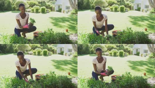 非洲裔美国妇女种植植物在阳光灿烂的花园对着镜头微笑高清在线视频素材下载