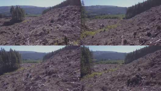 低空俯视着砍伐过的山坡高清在线视频素材下载