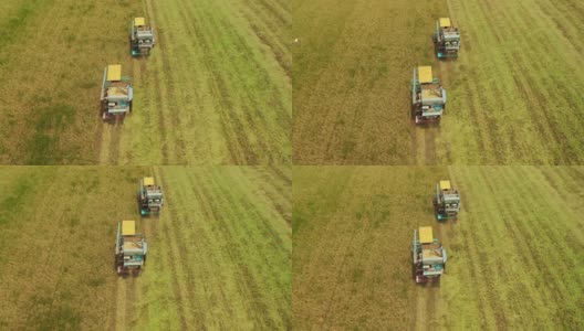 鸟瞰图联合收割机在稻田作业。高清在线视频素材下载