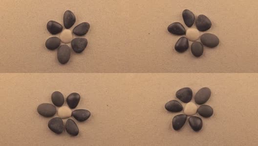 石头旋转成花的形状躺在沙子上。的概念。高清在线视频素材下载