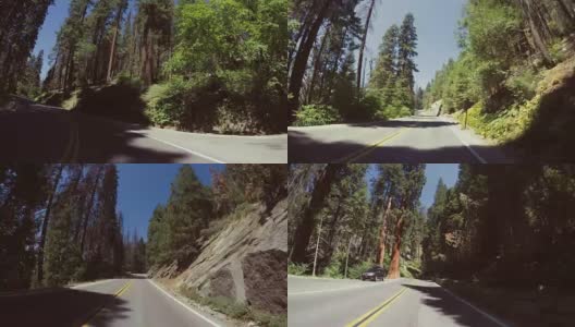 加州红杉国家公园高清在线视频素材下载