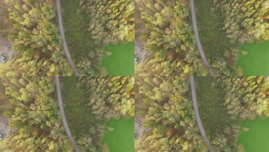 天线:秋天巴伐利亚森林里的小路高清在线视频素材下载