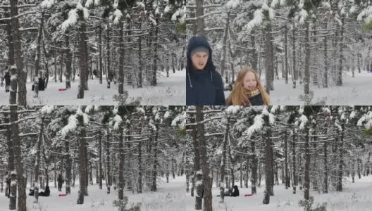 冬日公园里，人们在松树间的雪地里散步和玩耍高清在线视频素材下载