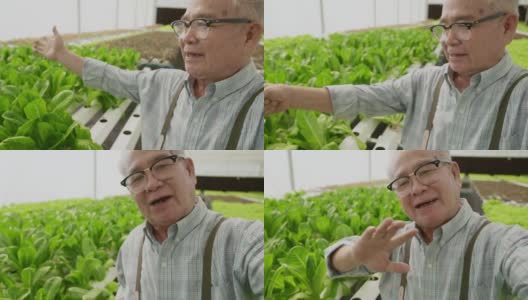 Pov亚洲年长男性园丁生活流介绍自己，展示他的温室蔬菜农场快乐和快乐自豪地呈现给跟随者，亚洲老人视频电话到相机高清在线视频素材下载