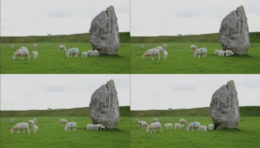 埃夫伯里石圈的跳跳羊高清在线视频素材下载