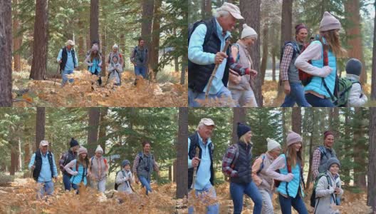 多代家庭在森林中行走的平移镜头高清在线视频素材下载