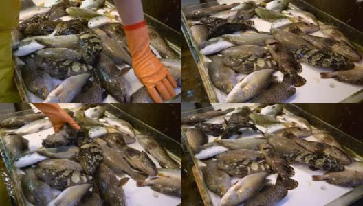 香港市场上的鲜咸水鱼。高清在线视频素材下载