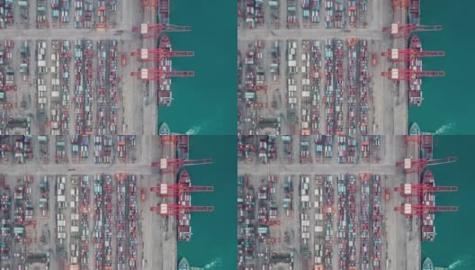 T/L PAN俯视图繁忙的工业港口与集装箱船高清在线视频素材下载