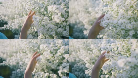 缓慢的运动。女孩的手摸着白花。高清在线视频素材下载