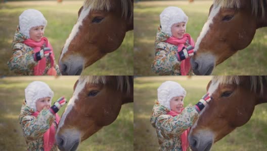 一个小女孩抚摸着马的脸。特写,慢动作高清在线视频素材下载