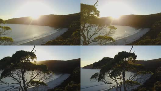 日落时分，无人机飞过海滩和森林高清在线视频素材下载