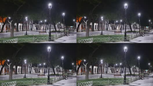 夜灯城市公园高清在线视频素材下载