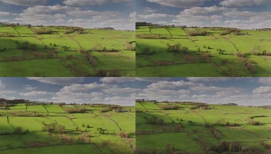 西约克郡满是绵羊和羊羔的田野-无人机拍摄高清在线视频素材下载