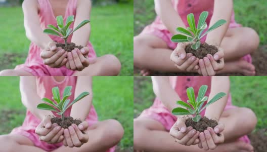 一个亚洲女孩拿出一把有绿色植物的土壤。保护地球的概念和象征。慢动作拍摄，50帧/秒高清在线视频素材下载