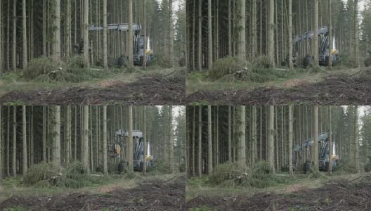 林业收割机工作高清在线视频素材下载