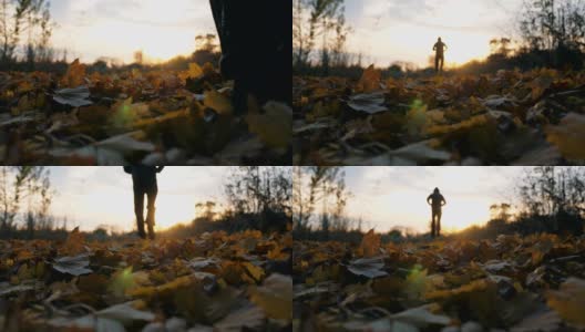 一个不知名的运动员在秋天的公园里慢跑，踩着干燥的枫叶。男运动员在日落背景下的自然训练。健康生活方式的概念。后视图慢动作高清在线视频素材下载