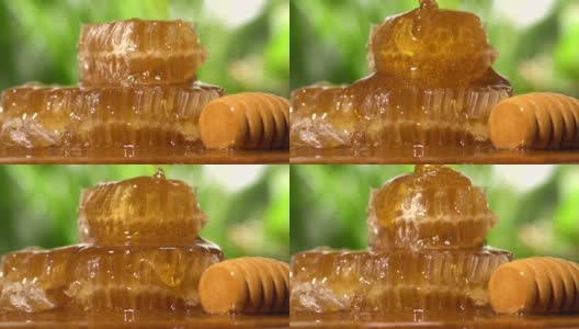 蜂蜜在蜂巢上缓慢流动高清在线视频素材下载