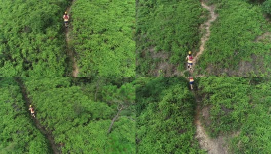 鸟瞰图的妇女徒步旅行者徒步热带森林高清在线视频素材下载