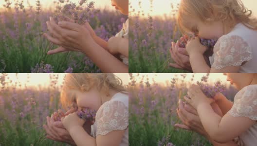 慢镜头，宝宝和妈妈在薰衣草地里。女孩快乐，微笑，爱花，拥抱。香薰，石油，农贸，一家人在一起。高清在线视频素材下载