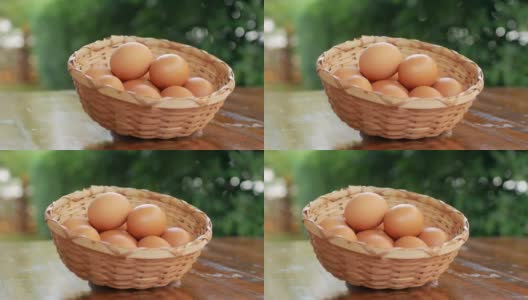 篮子里的鸡蛋高清在线视频素材下载