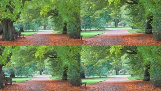 爱丁堡皇家植物园的秋季景观高清在线视频素材下载