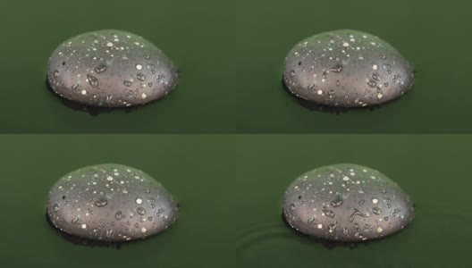 一滴水滴落在绿色水中的一块黑色石头上高清在线视频素材下载