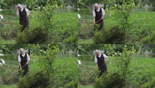 一位白发苍苍的老妇人拿着锄头在绿色的土豆地里干活。高清在线视频素材下载
