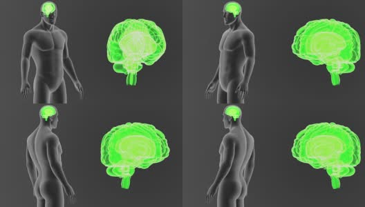 人的大脑和身体一起放大高清在线视频素材下载