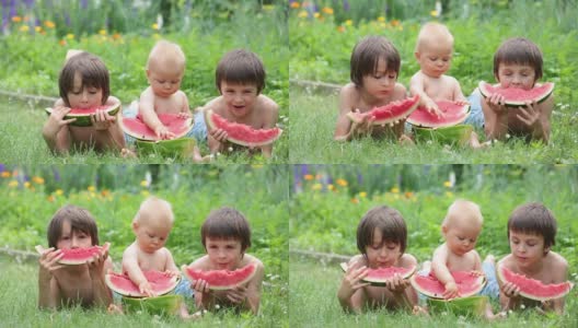 可爱的小朋友们，小男孩和两兄弟，在花园里吃着成熟的西瓜，美味的水果高清在线视频素材下载