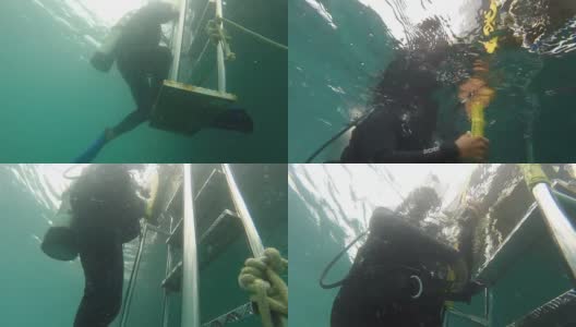 一群在水下学习水肺潜水课程的潜水员高清在线视频素材下载