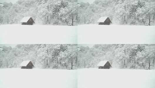 白雪覆盖下的白川村日本人的一个孤独的小木屋高清在线视频素材下载