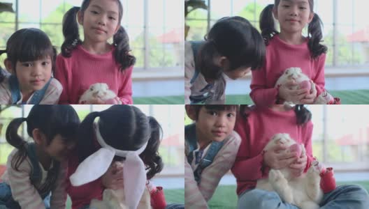 两个亚洲小女孩在客厅里玩白兔。家庭用兔子象征复活节庆祝的概念高清在线视频素材下载