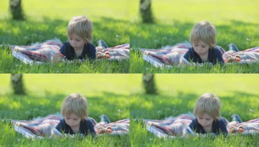 可爱的幼儿，金发男孩，在公园里玩放大镜，在图画书里画画高清在线视频素材下载